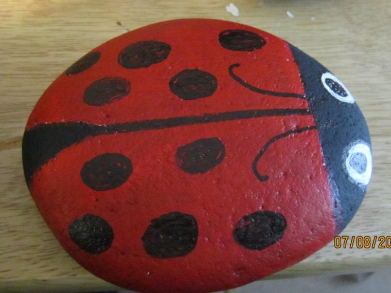 Ladybug