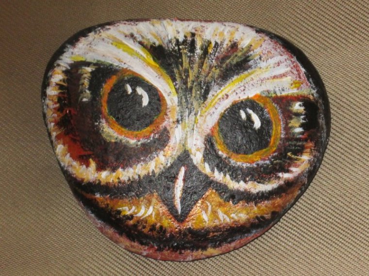 Owl